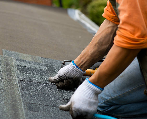 Gutter Installation and Roofing in Chapin, SC