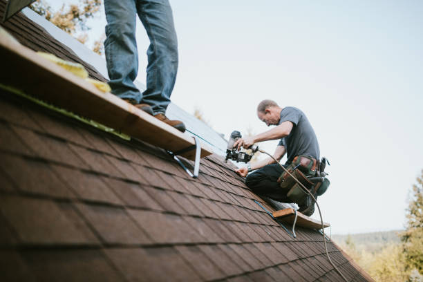 Quick and Trustworthy Emergency Roof Repair Services in Chapin, SC